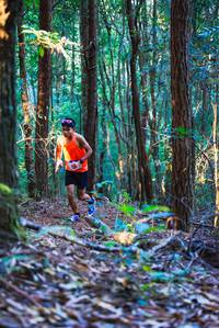 BIB: 
                            <button type="button" onclick="openModal(19358268)" class="btn btn-primary btn-sm float-right btn-popup" data-toggle="modal" data-target=".modal-high-quality">
                        <i class="fas fa-shopping-cart"></i> Add to Cart
                    </button>
                                            <button type="button" onclick="isThisMe(19358268, true)" class="btn btn-success btn-sm float-right btn-popup btn-isme hidden" data-toggle="tooltip" data-placement="bottom" title="นี่คือรูปของคุณใช่ไหม คลิกที่นี่เพื่อเอาเข้าอัลบั้ม">
                        <i class="fas fa-plus"></i> Add to album
                    </button>
                    <button type="button" onclick="isThisMe(19358268, false)" class="btn btn-warning btn-sm float-right btn-popup btn-isnotme hidden">
                        <i class="fas fa-ban"></i> Remove from album
                    </button>